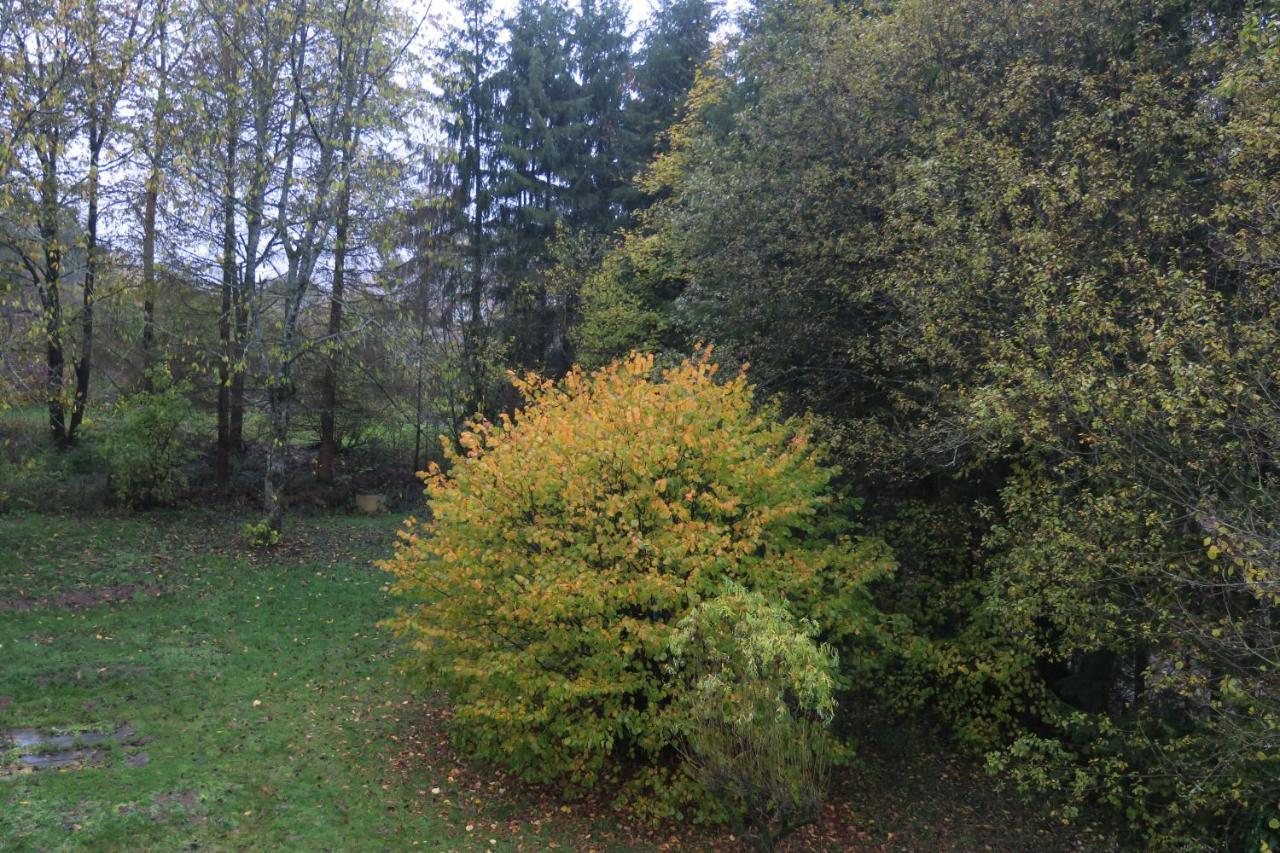 Auszeit Leilighet Gummersbach Eksteriør bilde